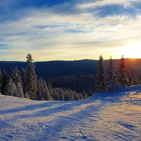 アパート Panda *